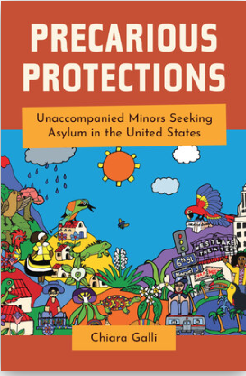 Precarious Protections book cover
