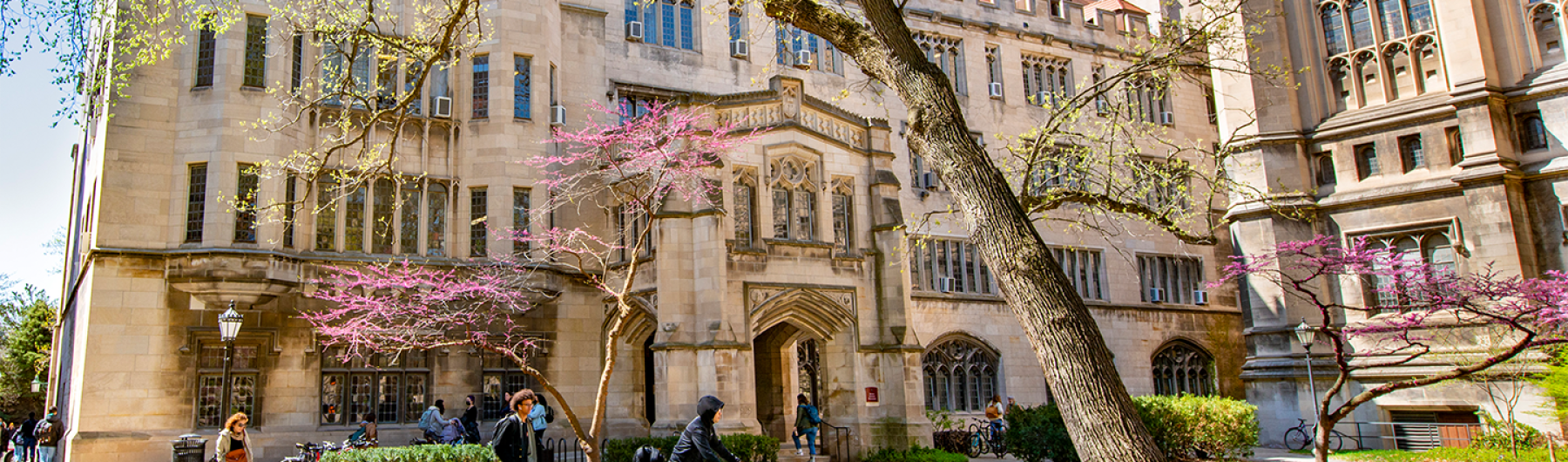 Building at UChicago in the Spring