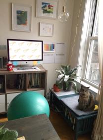 a desk with an exercise ball as the chair and a cat sitting beside the home office 