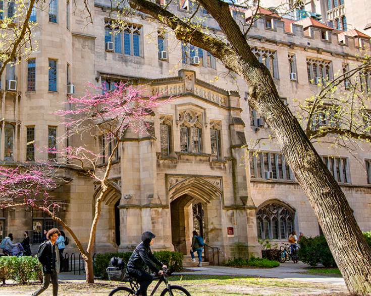 Building at UChicago in the Spring