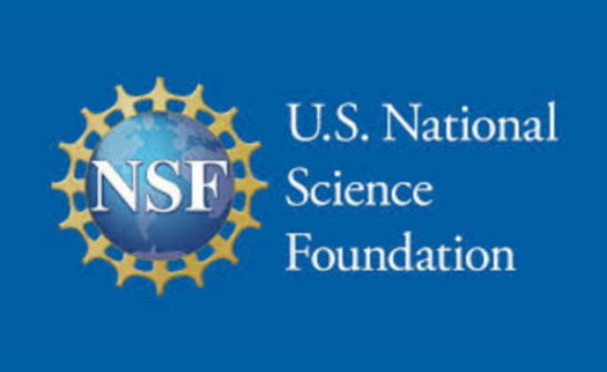 National Science Foundation Logo