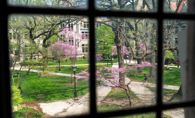 a view of the social sciences quad in the spring