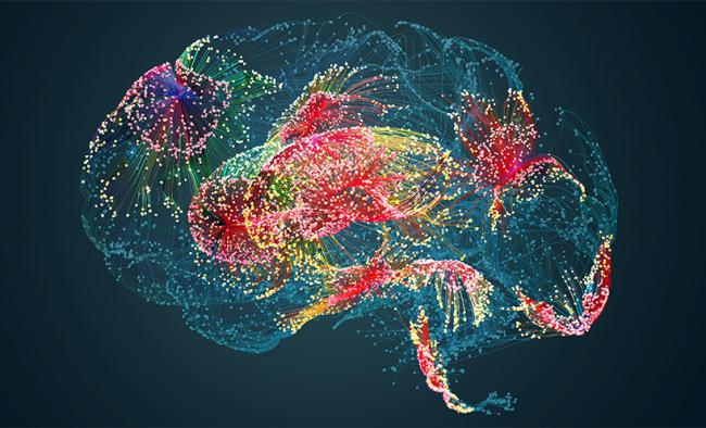 multicolored brain graphic