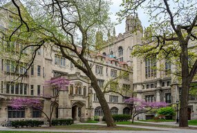 Spring in the SSD quadrangle